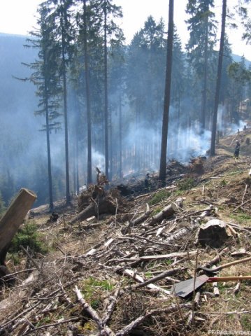 2009_04_10 Waldbrand Sieber 005